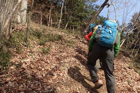 要害山からコヤシロ山・山頂直下はジグザグの急坂
