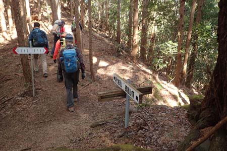 要害山からコヤシロ山・大倉・登計を結ぶ山道