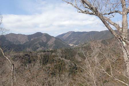 要害山からコヤシロ山・青空の下に権現山の稜線