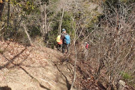 要害山からコヤシロ山・固定ロープが張られた下り
