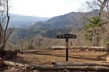 コヤシロ山の山頂