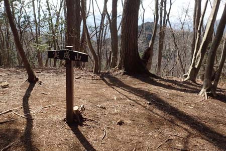 要害山からコヤシロ山・木立の覆われた実成山