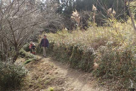 要害山からコヤシロ山・目の前は尾続の集落