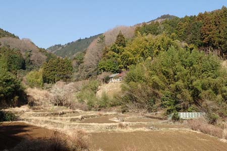弁天御髪尾根から鐘ヶ嶽・春の明るい光を浴びる山里