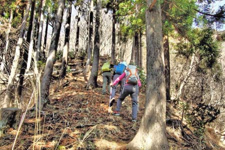 弁天御髪尾根から鐘ヶ嶽・ヒノキ林の踏み跡を登って