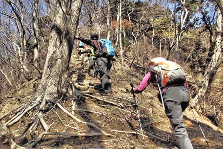 弁天御髪尾根から鐘ヶ嶽・木の根を頼りに踏み跡を登り