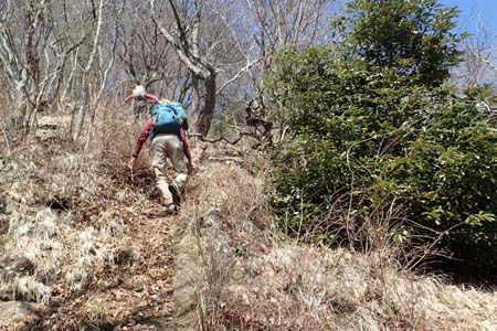 弁天御髪尾根から鐘ヶ嶽・あまり歩いていない稜線を515mの下弁天へ