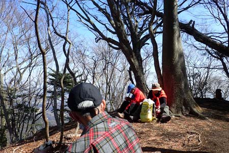 弁天御髪尾根から鐘ヶ嶽・木立に覆われた見晴広場Ｂ