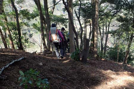 弁天御髪尾根から鐘ヶ嶽・樹林帯の山道を下って