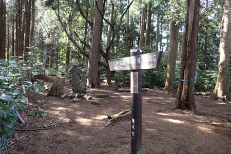 弁天御髪尾根から鐘ヶ嶽・木立に覆われた鐘ヶ嶽の山頂