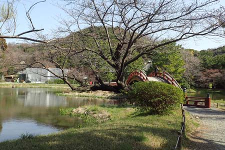 称名寺から鎌倉アルプス・赤い橋が架かる阿字ヶ池