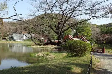 称名寺の阿字ヶ池