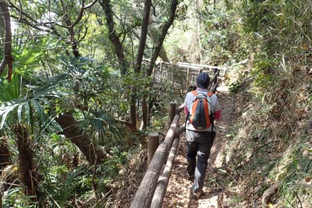 称名寺から鎌倉アルプス・良く整備された散策路を登り
