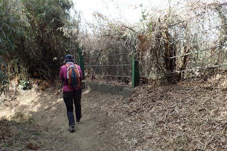 称名寺から鎌倉アルプス・山頂からは建長寺へと続く道