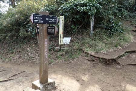 称名寺から鎌倉アルプス・覚園寺と今泉台住宅を結ぶ分岐