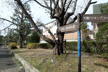 称名寺から鎌倉アルプス・散在ヶ池森林公園へ続く道