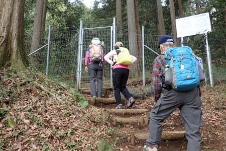 見城から梅ノ木尾根と見晴広場・鹿除け柵から急な登り