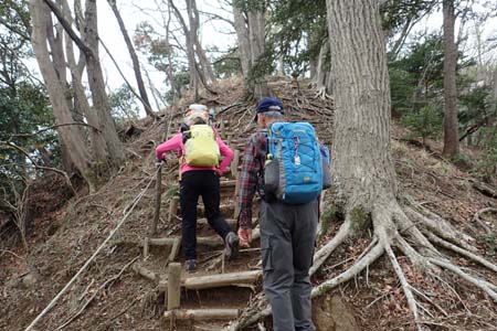 見城から梅ノ木尾根と見晴広場・山頂直下も急な登り