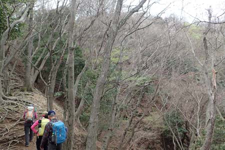 見城から梅ノ木尾根と見晴広場・芽吹きも浅い雑木林の尾根道