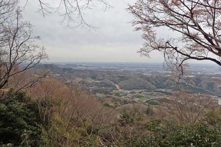 見城から梅ノ木尾根と見晴広場・春景色に包まれる七沢森林公園