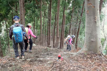 見城から梅ノ木尾根と見晴広場・鹿柵を越えて下ると道間違い