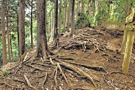 見城から梅ノ木尾根と見晴広場・振り返ると弁天の森キャンプ場への道