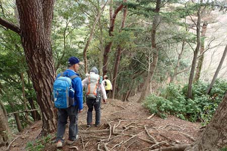 見城から梅ノ木尾根と見晴広場・小さなアップダウンもあります