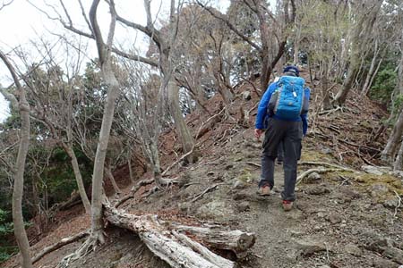 見城から梅ノ木尾根と見晴広場・岩っぽい尾根道を登って行きます