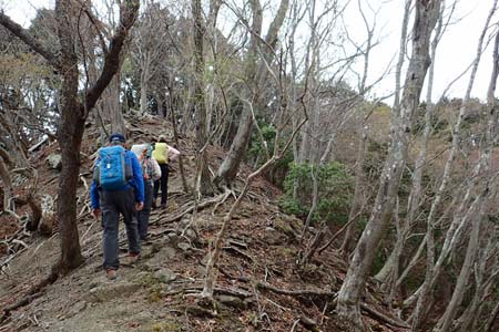 見城から梅ノ木尾根と見晴広場・高度を上げると芽吹きも浅くなり
