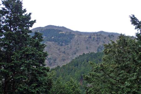 見城から梅ノ木尾根と見晴広場・木立の先に大山の山頂