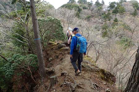 見城から梅ノ木尾根と見晴広場・両側が切れた痩せ尾根を登り