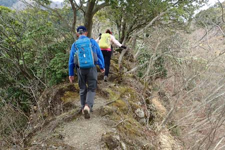 見城から梅ノ木尾根と見晴広場・岩っぽい痩せ尾根が続きます