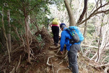 見城から梅ノ木尾根と見晴広場・木の根がうるさい急坂を登り