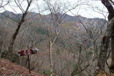 見城から梅ノ木尾根と見晴広場・たどり着いた大沢分岐