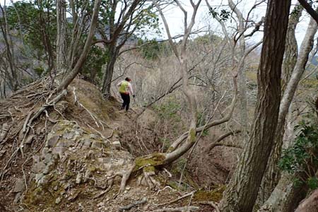 見城から梅ノ木尾根と見晴広場・荒れた急坂な尾根道