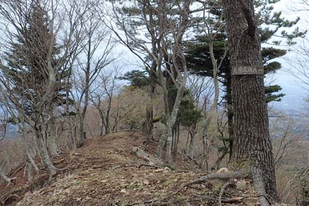 見城から梅ノ木尾根と見晴広場・見晴広場Ａ