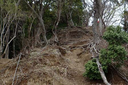 見城から梅ノ木尾根と見晴広場・固定ロープが張られた急坂