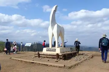 陣馬山の山頂