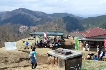 陣馬山の山頂