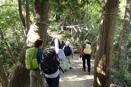 今倉山から刈寄山・しめ縄をくぐり今熊山への登り