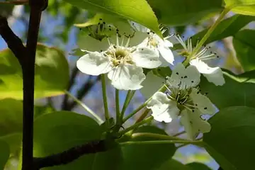 ヤマナシ・今熊山