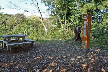 今倉山から刈寄山・広い山頂は桜の花びらが舞い散り