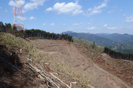 今倉山から刈寄山・伐採地からは奥多摩の展望