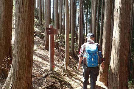 今倉山から刈寄山・小さなコブを巻きながら