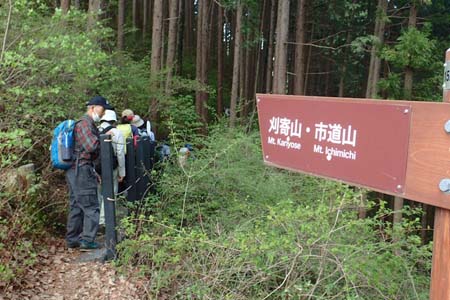 今倉山から刈寄山・ハイキング道には小さな木橋も架かって
