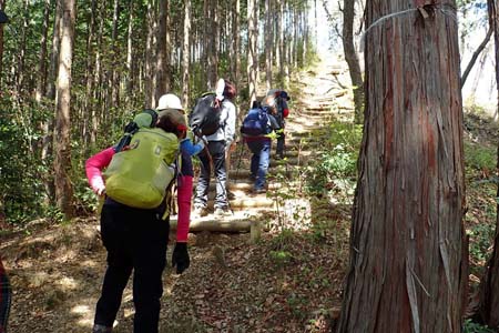 今倉山から刈寄山・山頂へは木の階段を登り