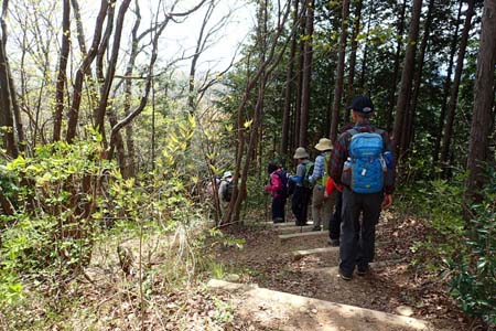 今倉山から刈寄山・山頂からは階段の道を鎖