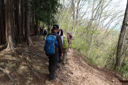 今倉山から刈寄山・巻き道は通らず