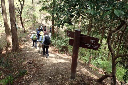 今倉山から刈寄山・分岐から登って行く踏み跡は舟子尾根