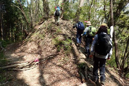 今倉山から刈寄山・崩壊地を巻いて